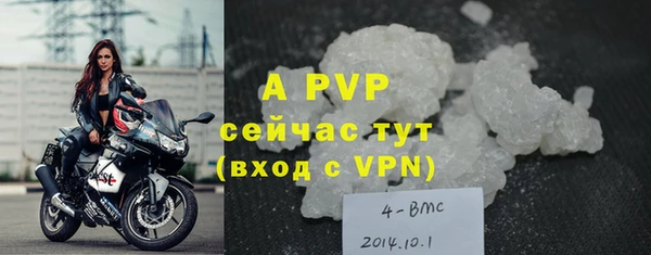 винт Алексин