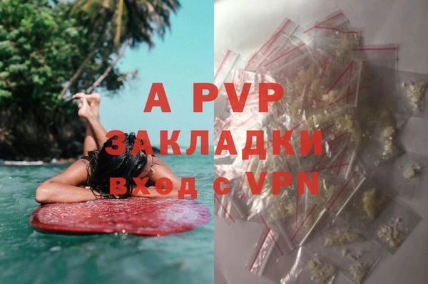 бошки Аркадак