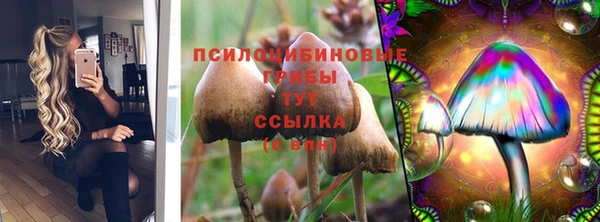 дживик Армянск