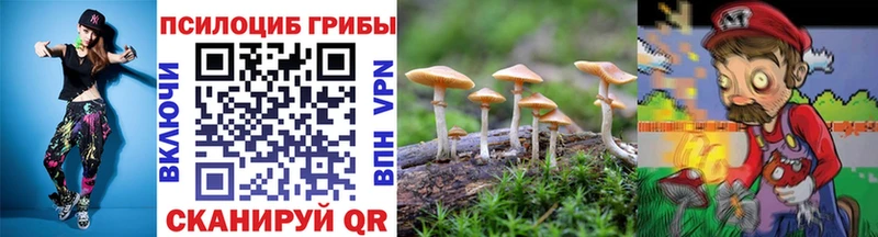 ОМГ ОМГ маркетплейс  Геленджик  Псилоцибиновые грибы MAGIC MUSHROOMS 